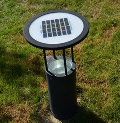 城东草坪灯 城东草坪灯