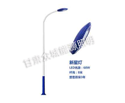 城东爆款市电路灯